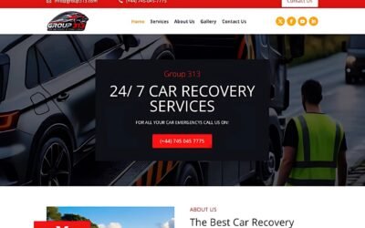 Group 313 Website